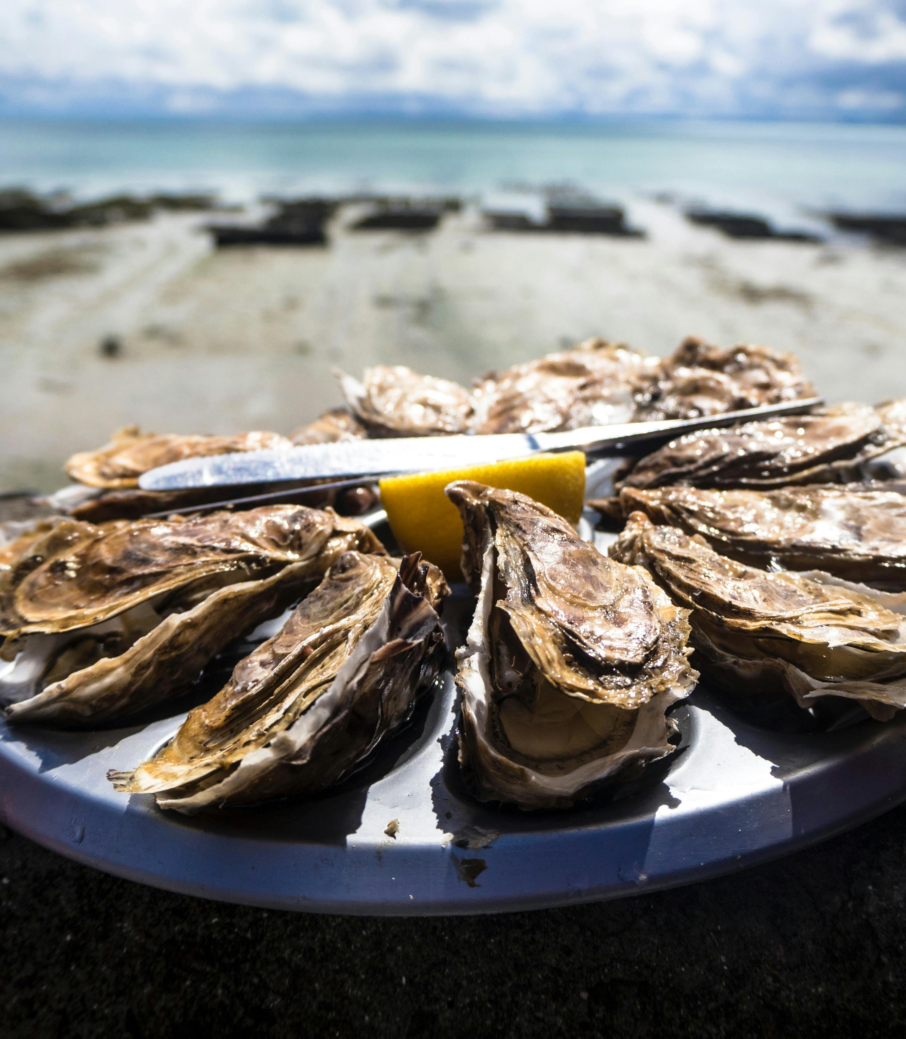 Plan Your Outer Banks 2025 Vacation Vacasa